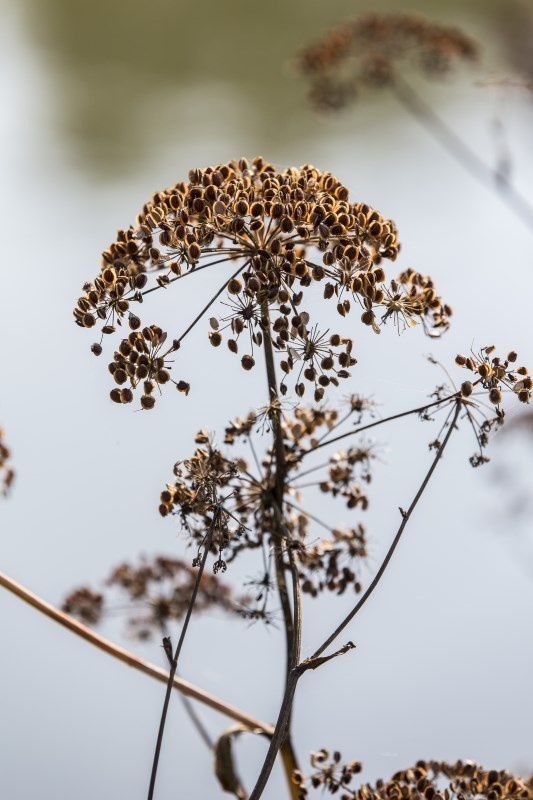 Profilbild von Anna Semrau