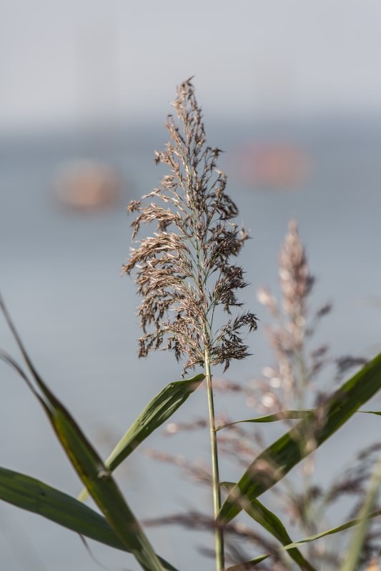 Profilbild von Horst Riecke