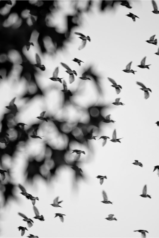 Profilbild von Peter Nissen