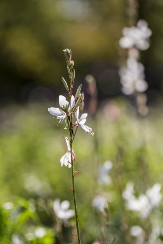 Profilbild von Ursula Nitze