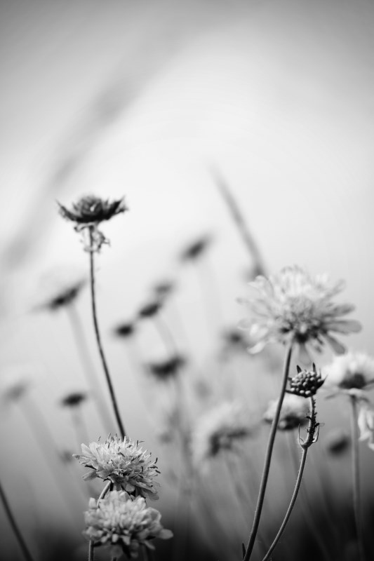 Profilbild von Ursula Schuldt