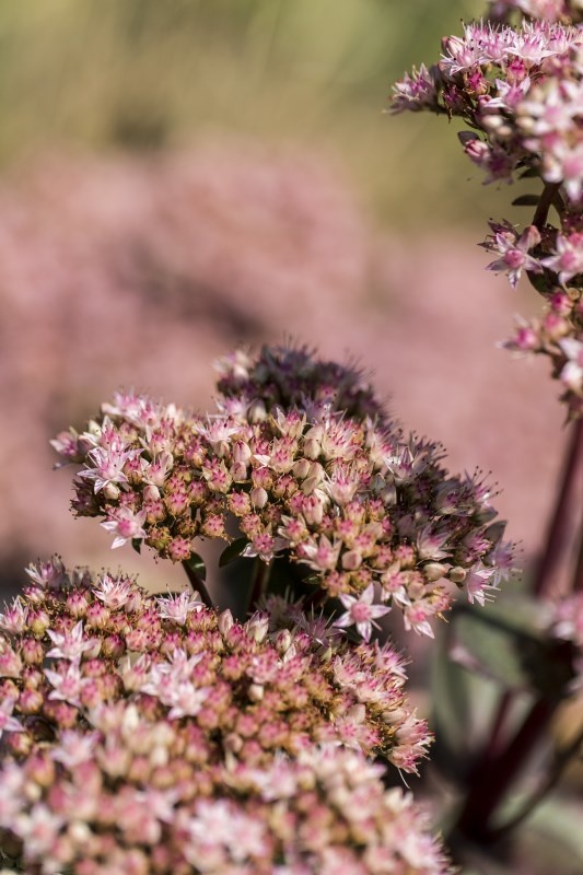 Profilbild von Uwe Rademacher